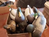 (12) Duck Decoys