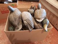 (10) Duck Decoys