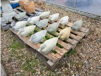 (12) Concrete Lawn Decor Ducks