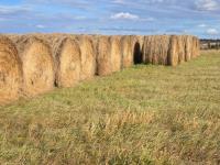 (32) Round Bales of Brome/Clover Mix Hay Bales