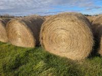 (34) Round Bales of Meadow Foxtail/ Alfafa/ Clover Mix Hay Bales