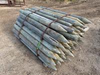 (60)± 6 Ft X 5 Inch Pointed Treated Posts