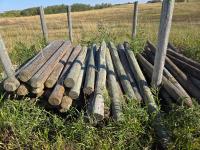 (40±) Fence Posts