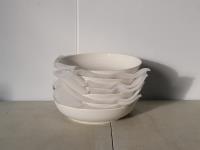 6 Pieces Pasta Bowls