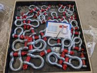 (38) Screw Pin Shackles