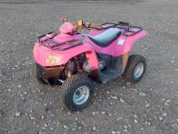 2008 Artic Cat 50 2WD ATV