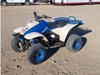 1991 Polaris Trail Boss 2WD ATV