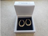 Smartlife 14K Gold Plated Hoop Earrings