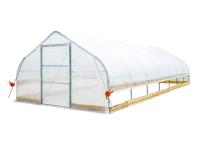 TMG Industrial TMG-GH1230 12 Ft X 30 Ft Tunnel Greenhouse Grow Tent