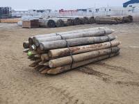 T7810C (25) 7-8 Inch X 10 Ft Treated Chiseled Posts