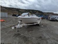 2001 Yamaha LS2000 19.5 Ft Bow Rider Boat & Trailer