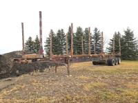 1990 Bee Line TRI/A Hay Rack Log Trailer