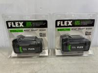 (2) Flex 24V 5.0 Ah Lithium-Ion Batteries