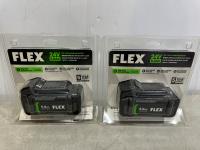 (2) Flex 24V 5.0 Ah Lithium-Ion Batteries