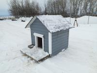 Large Insulated Dog House with Self Feeder