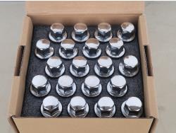 Dynofit 20 Piece Lug Bolts