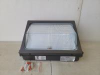 80 W LED Wallpack