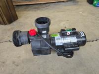 4 HP Swimming Pool Pump