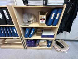 Shelving Unit