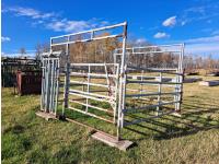 10 Ft Square Maternity Pen