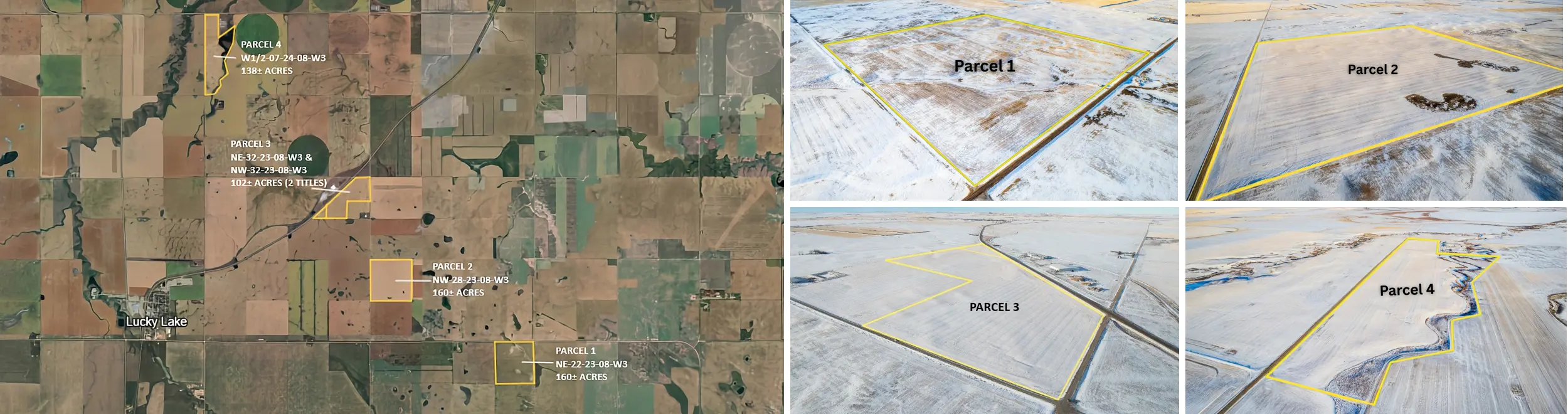 26CM auction feature