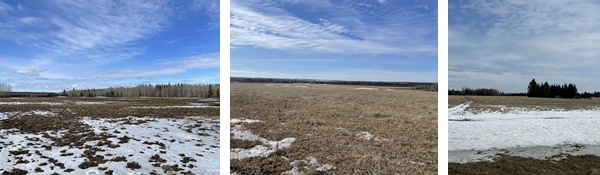 Unreserved Timed Real Estate Auction for Herbert Meier