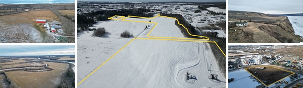 Real Estate Auction - Multiple Consignors