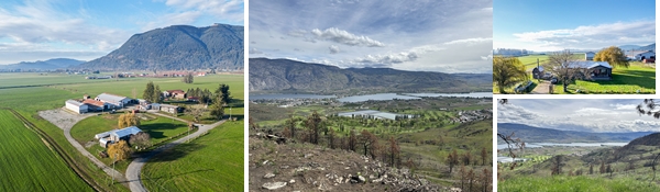 Real Estate Auction - Multiple Consignors