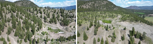 **NEW DATE**Real Estate Auction - 78± Combined Acres - 2 Parcels Selling Separate with Reserves